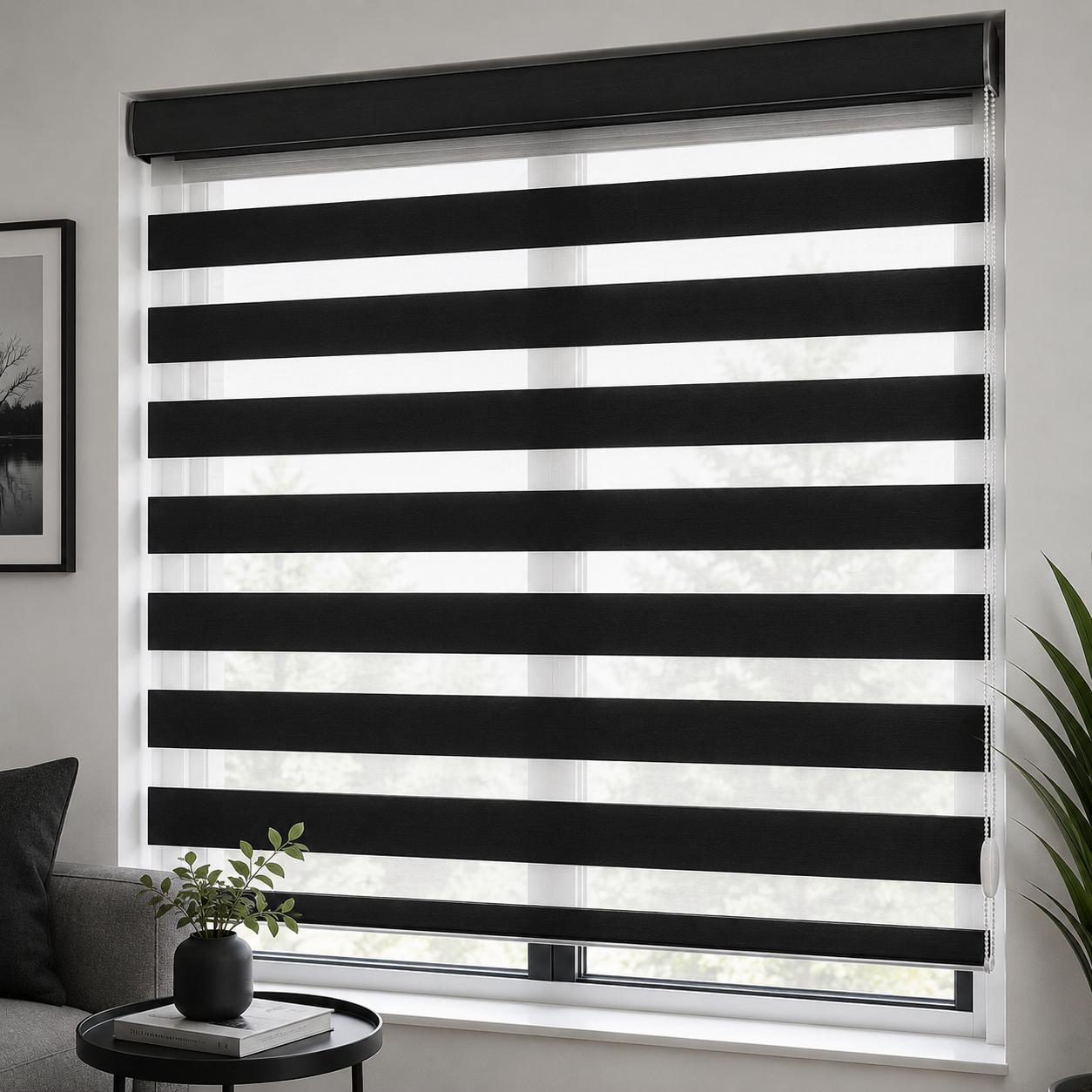 Window Coverings